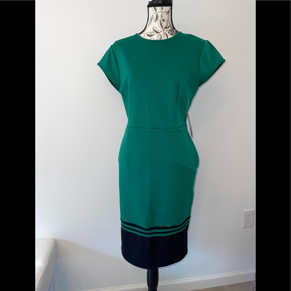 New York & Company Dress